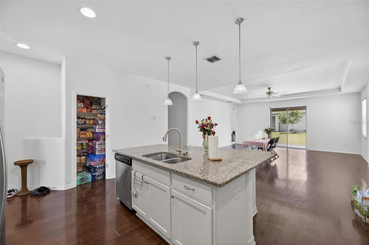 12433 Ballentrae Forest Drive, Riverview, FL 33579 Photo