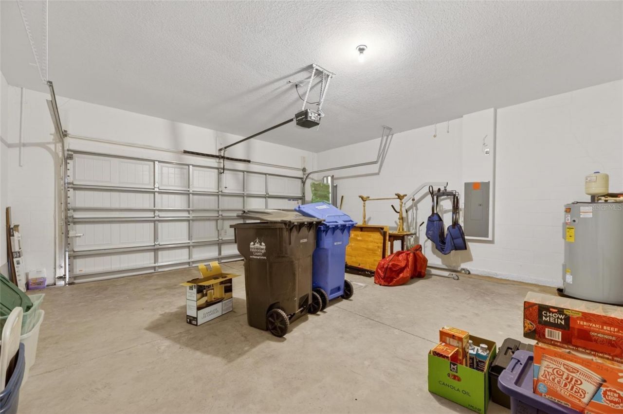 12433 Ballentrae Forest Drive, Riverview, FL 33579 Photo