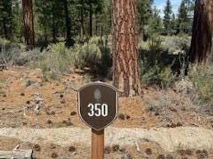 150 Redding Way, Lot #350, Carson City, NV 89705 Photo