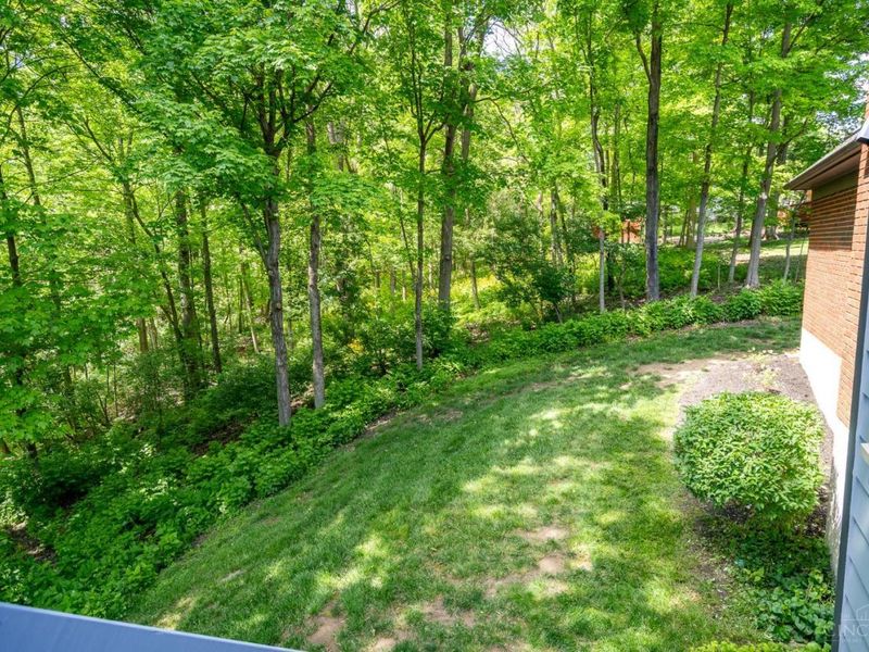 8883 Appleseed Drive, Symmes Township, OH 45249 Photo 74