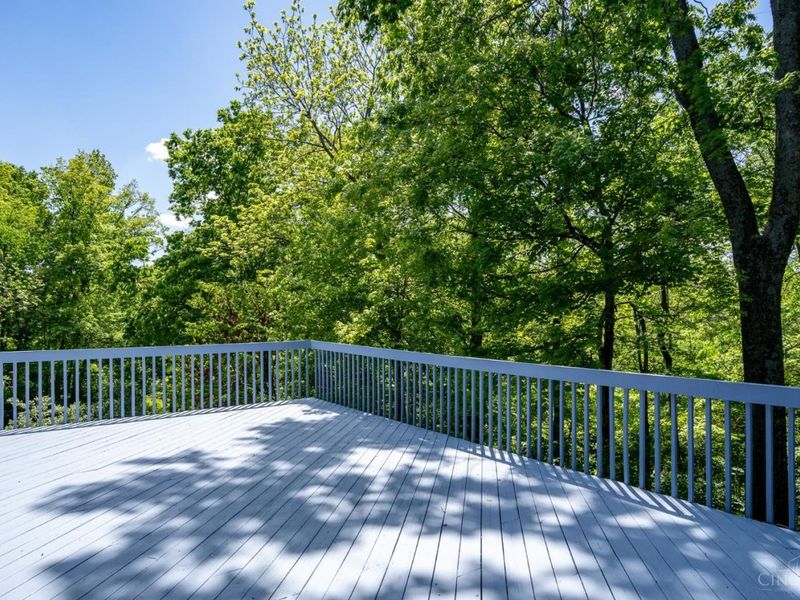 8883 Appleseed Drive, Symmes Township, OH 45249 Photo 76