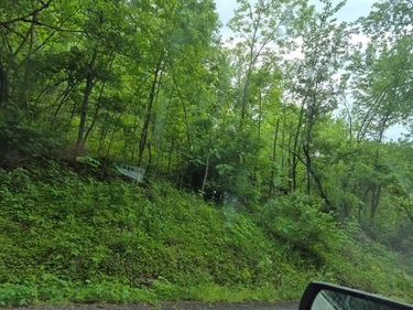 3171 Highway 2107 , Central City, KY 42330