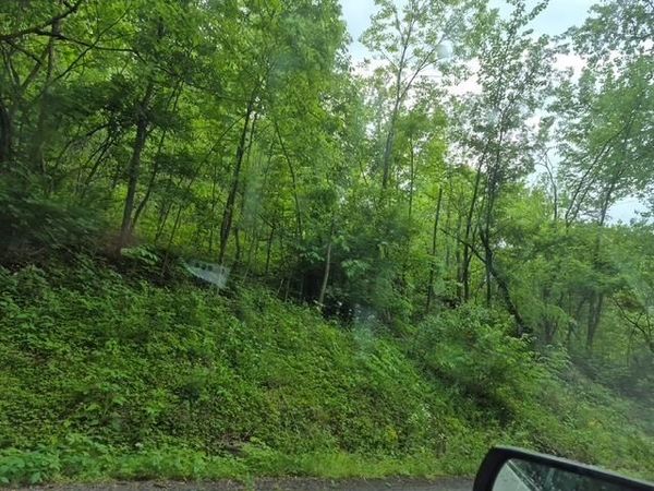3171 Highway 2107 , Central City, KY 42330