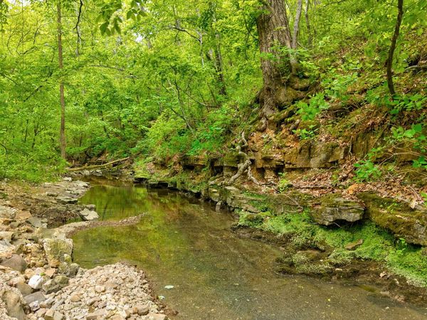 000 Woodland Drive , Hartville, MO 65667