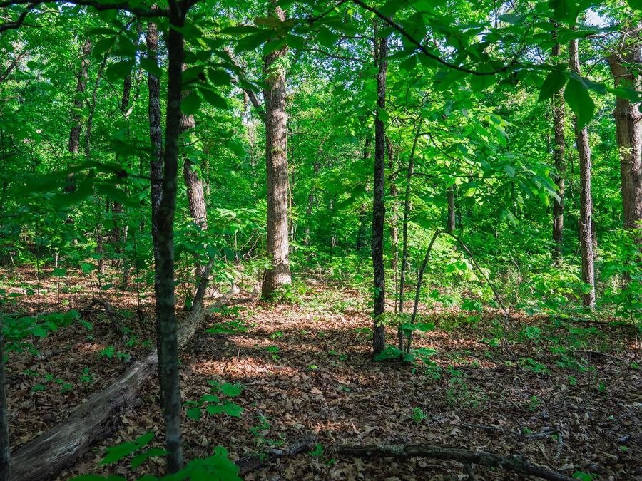 Property Image 9