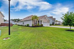 532 Fern Tree Drive photo 4