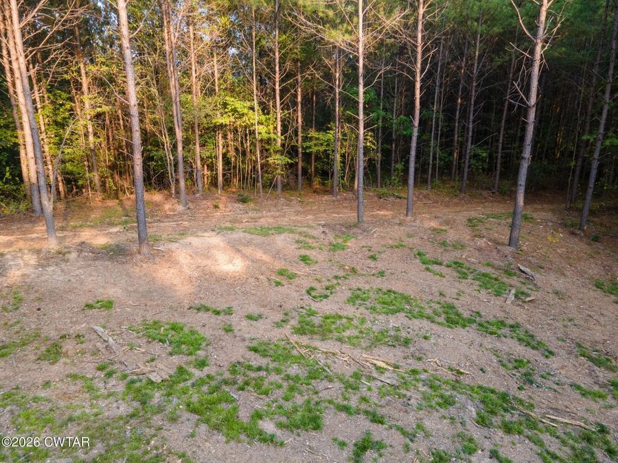 Property Image 47