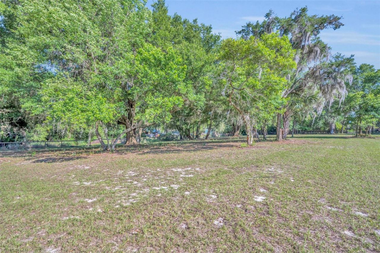 495 1st Street, Geneva, FL 32732 Photo