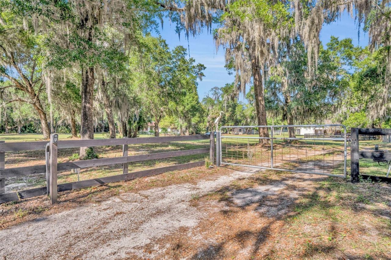 495 1st Street, Geneva, FL 32732 Photo