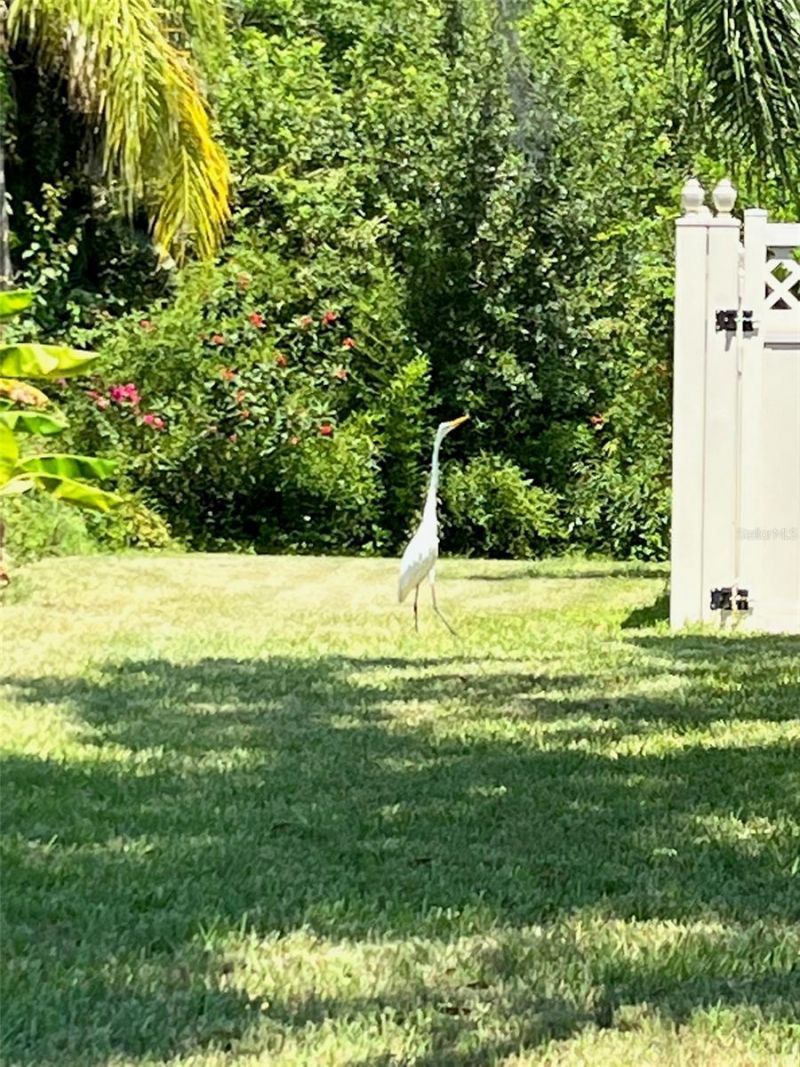 3705 Grayton Drive , New Port Richey, FL 34652 Photo