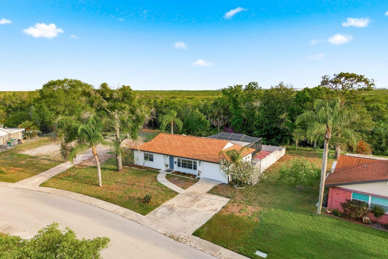 3705 Grayton Drive , New Port Richey, FL 34652 Photo