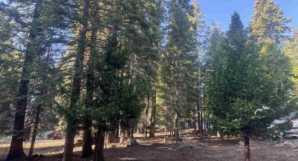 1129 Clifford Drive, Lake Almanor, CA 96137 Photo