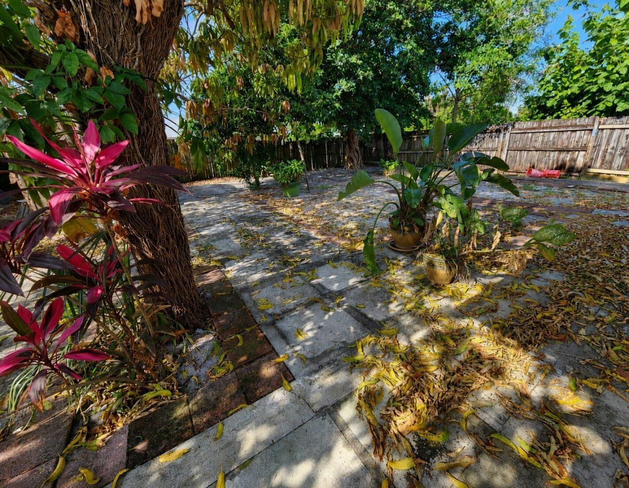 916 Francis Street, West Palm Beach, FL 33405 Photo