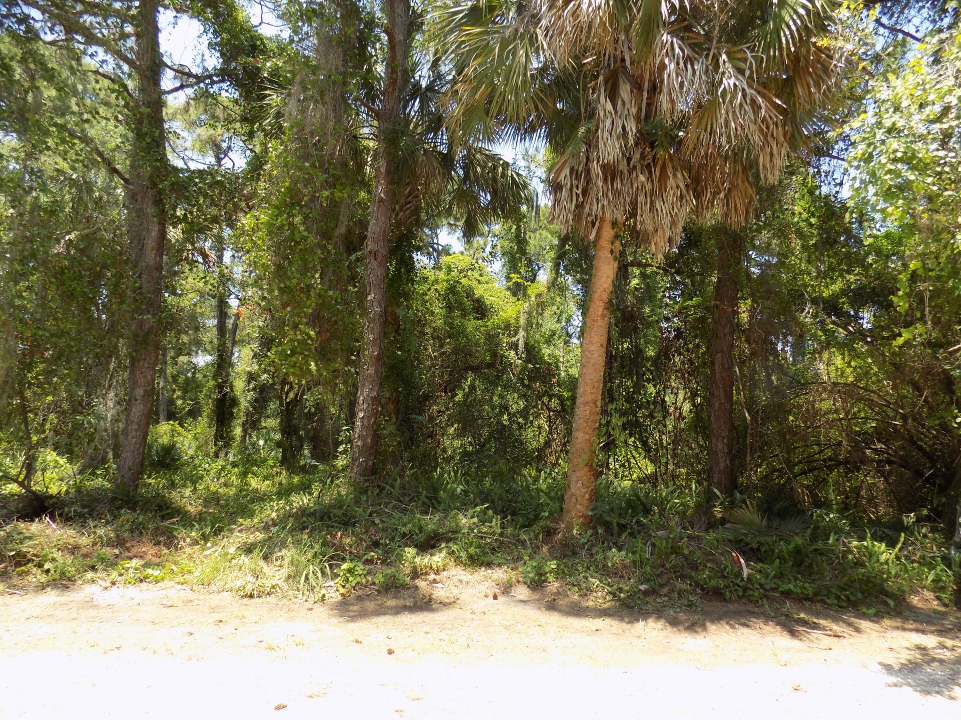 Tbd Oak Hammock Lane, Fort Pierce, FL 34981 Photo