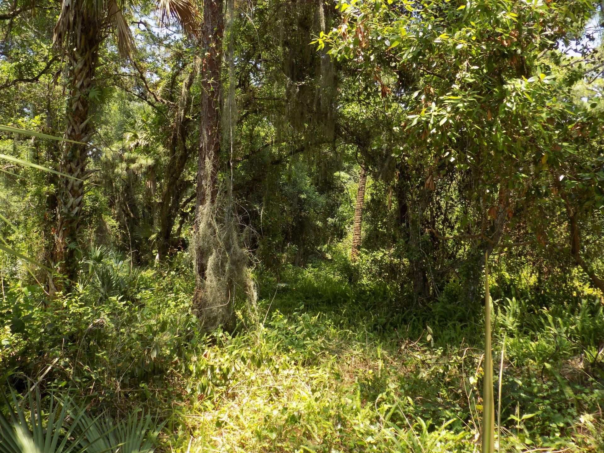 Tbd Oak Hammock Lane, Fort Pierce, FL 34981 Photo