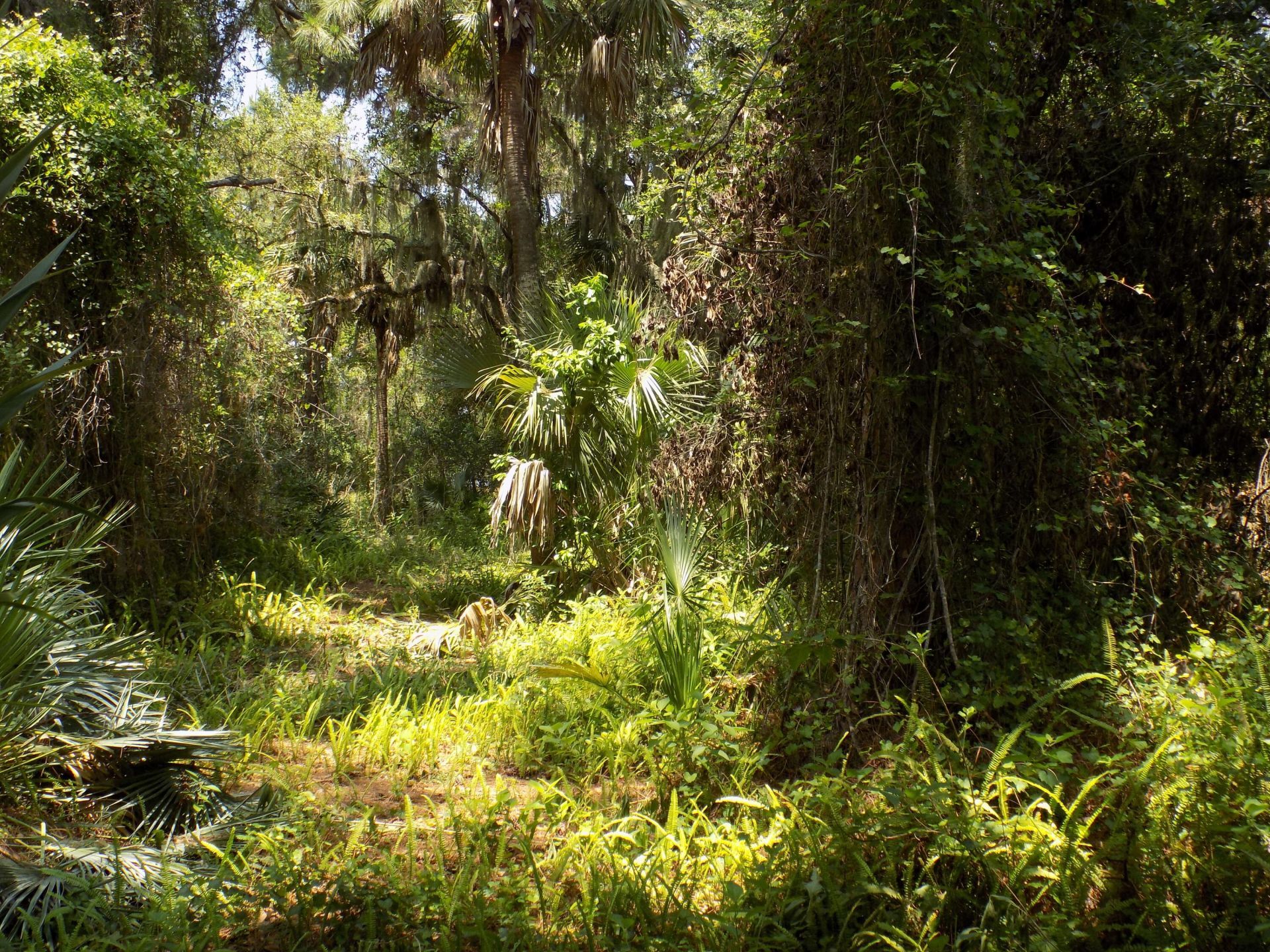 Tbd Oak Hammock Lane, Fort Pierce, FL 34981 Photo