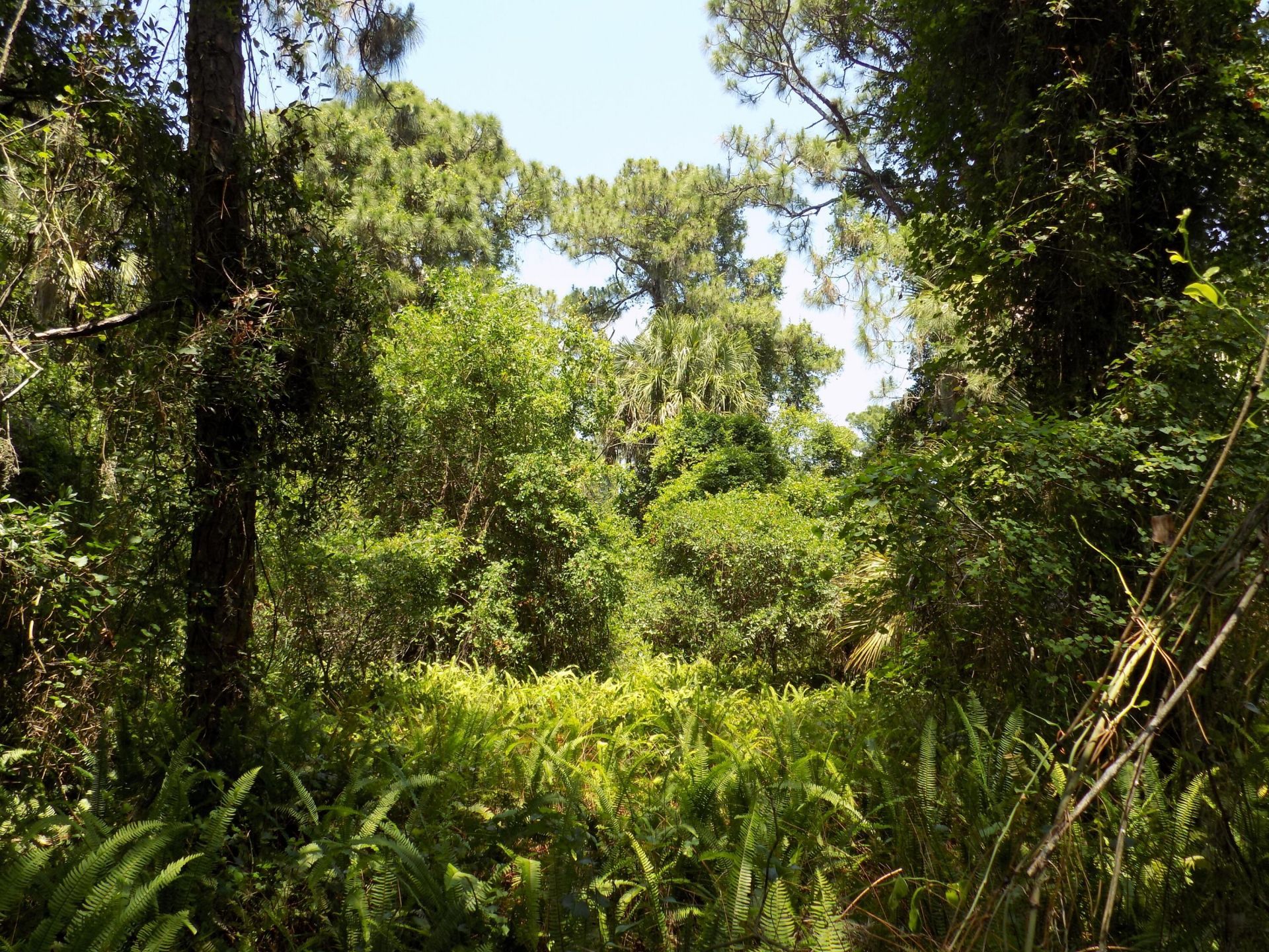 Tbd Oak Hammock Lane, Fort Pierce, FL 34981 Photo