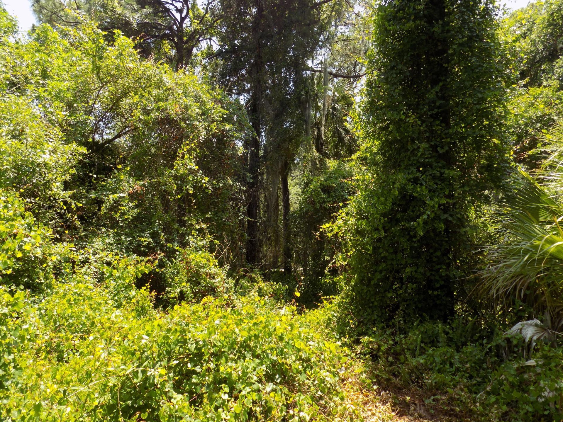 Tbd Oak Hammock Lane, Fort Pierce, FL 34981 Photo