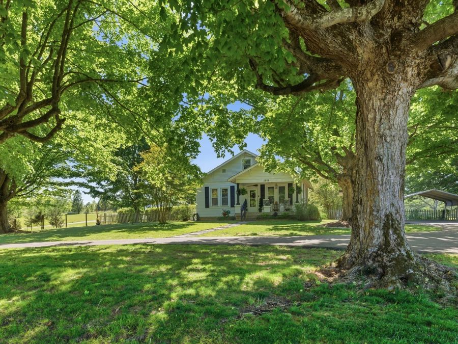 Property Image 6