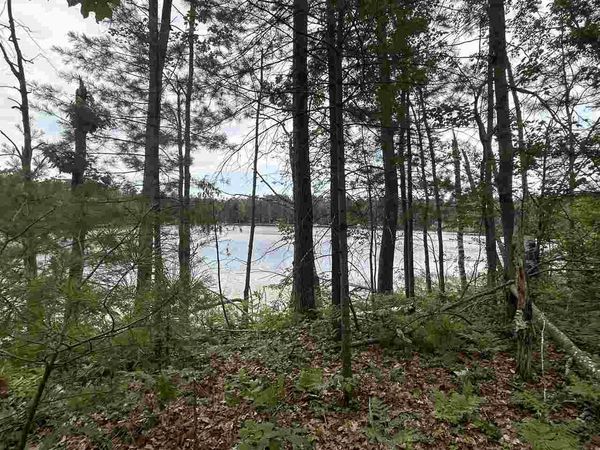 Lot 27 S Perch Lake Drive, Gaylord, MI 49735