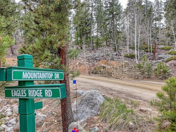 30176 Mountaintop Drive , Buena Vista, CO 81211