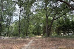 153 Joshua Lane photo 4