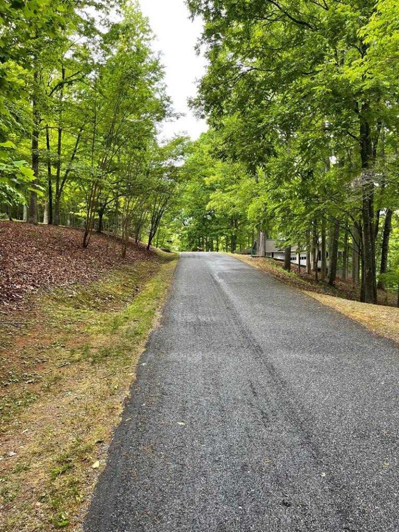 Lot 4 V Addington Road, Blairsville, GA 30312 Main Photo