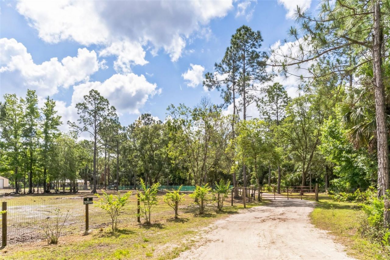 723 River Run Road, Osteen, FL 32764 Photo
