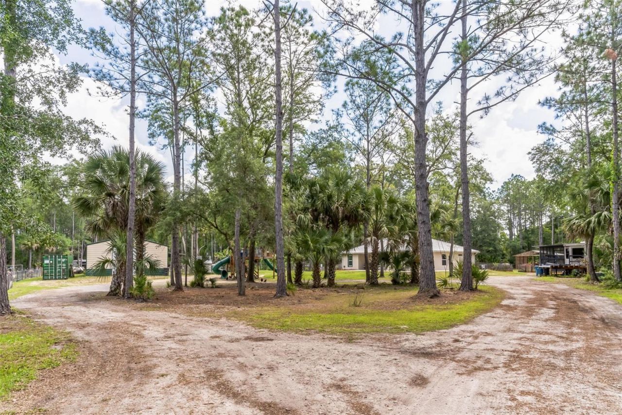 723 River Run Road, Osteen, FL 32764 Photo