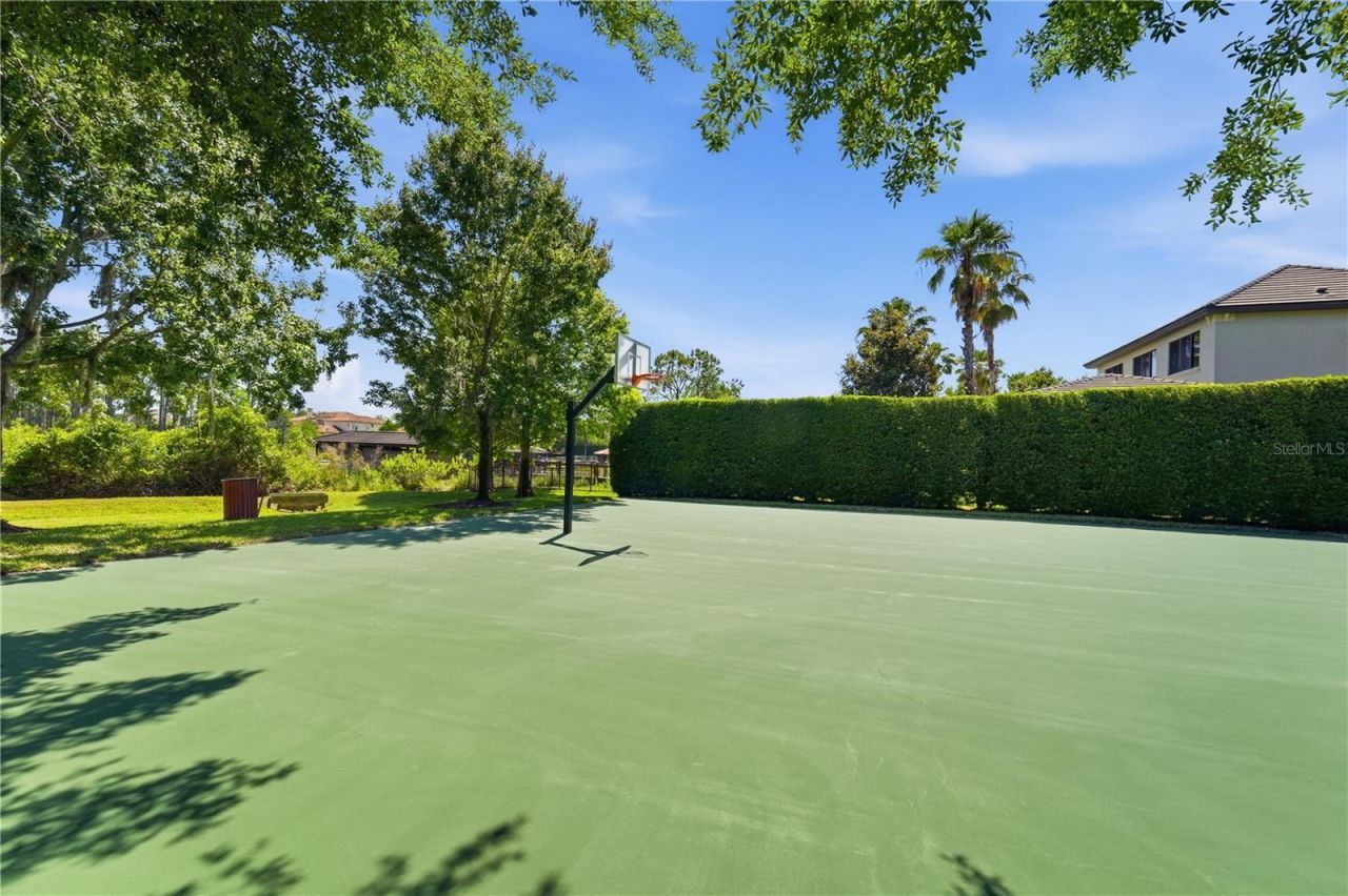 9222 Tibet Pointe Circle, Windermere, FL 34786 Photo