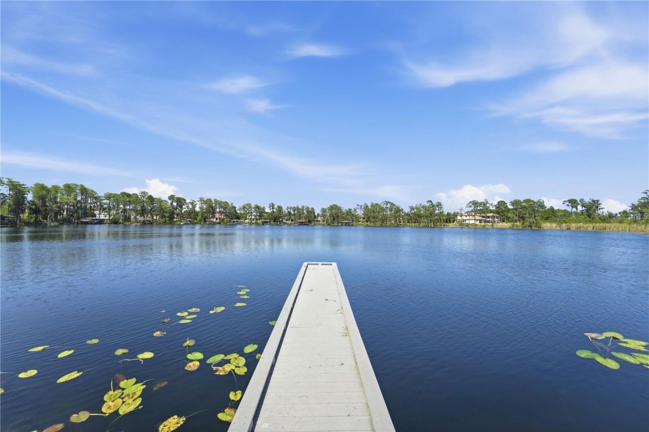 9222 Tibet Pointe Circle, Windermere, FL 34786 Photo