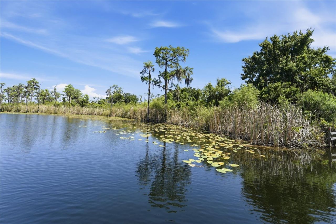 9222 Tibet Pointe Circle, Windermere, FL 34786 Photo