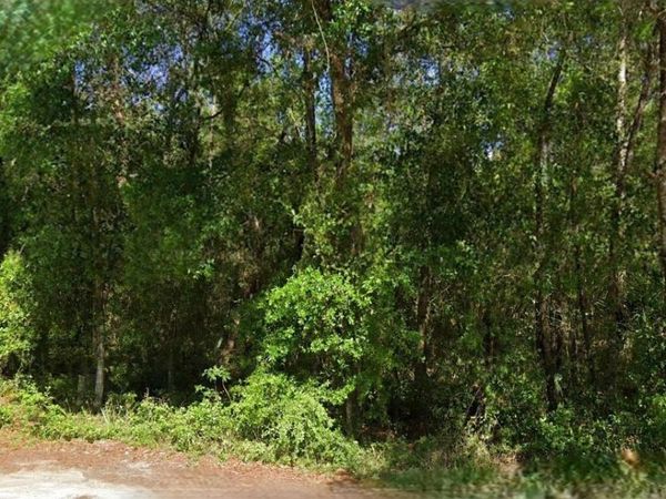 NE 6TH LANE ROAD , SILVER SPRINGS, FL 34488