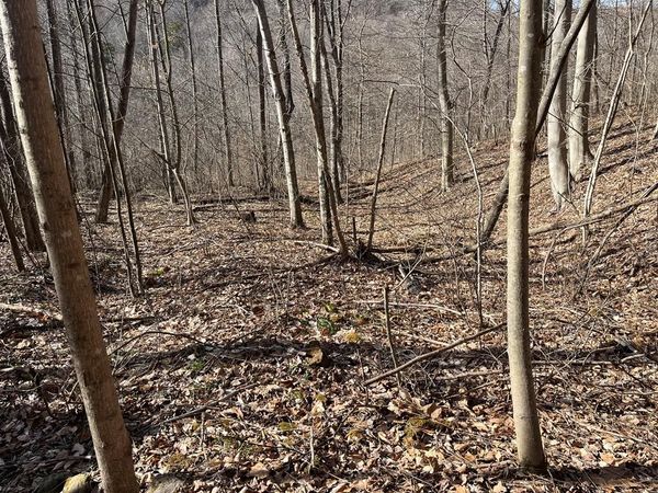 SE Hickson Run Road, Chillicothe, OH 45601