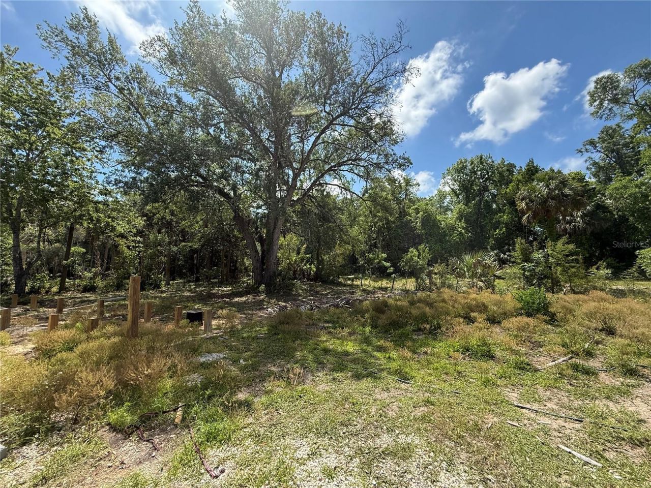 186 Gladys Avenue, Inglis, FL 34449 Photo