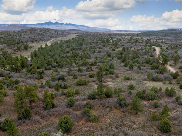 458 E Beaver Pines Loop, Norwood, CO 81423