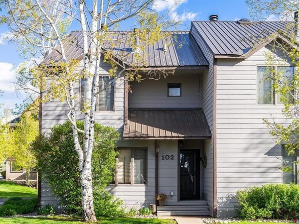 60 Davis Cup #102 Drive, Pagosa Springs, CO 81147