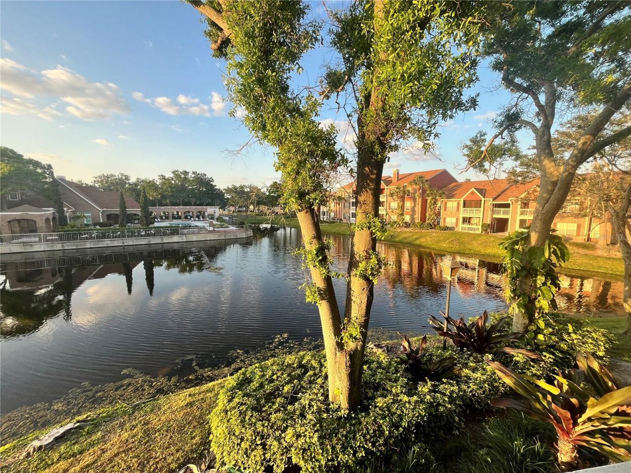10200 Gandy Boulevard N, Unit 1229, Saint Petersburg, FL 33702 Photo