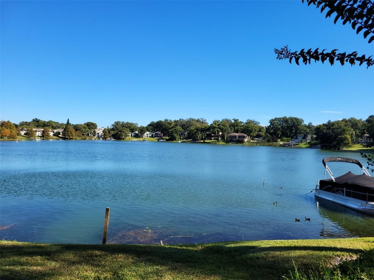 596 Orange Drive , Unit 150, Altamonte Springs, FL 32701 Photo