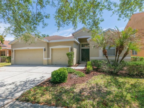 11334 BRIDGE PINE DRIVE , RIVERVIEW, FL 33569