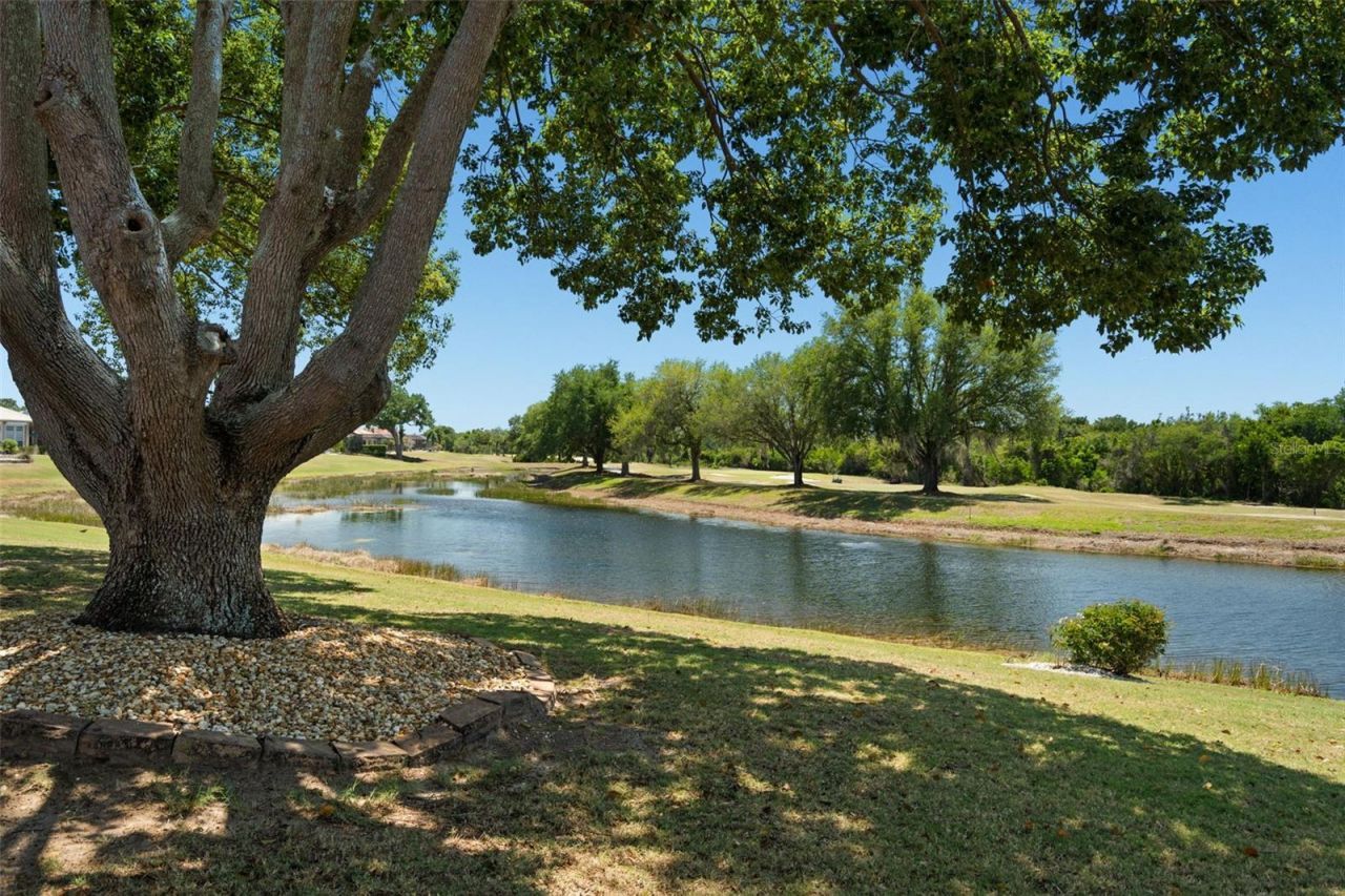 1134 Signature Drive, Sun City Center, FL 33573 Photo