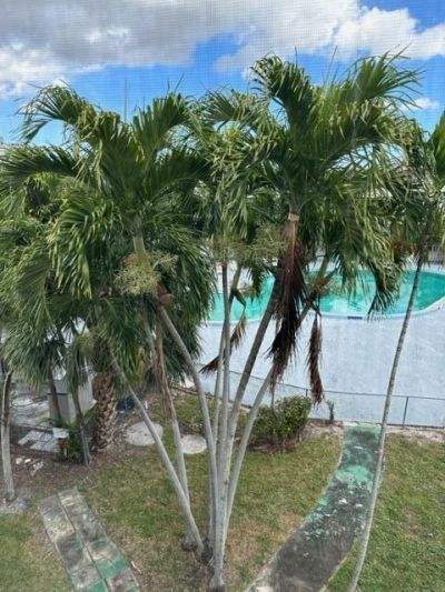 1380 NW 43 Terrace, Unit 306, Lauderhill, FL 33313 Photo