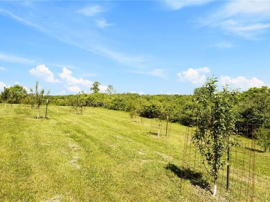 Property Image 71