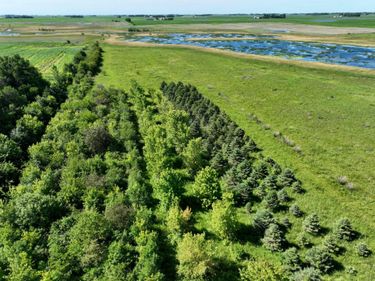 TBD 60TH Street , Blue Earth, MN 56013