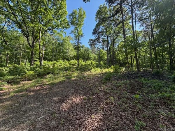 00 Earnie Woods Road , Rose Bud, AR 72137