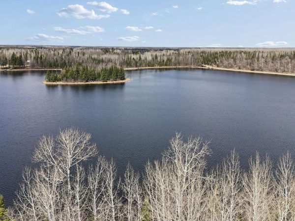 31149 County Road 40, Effie, MN 56639