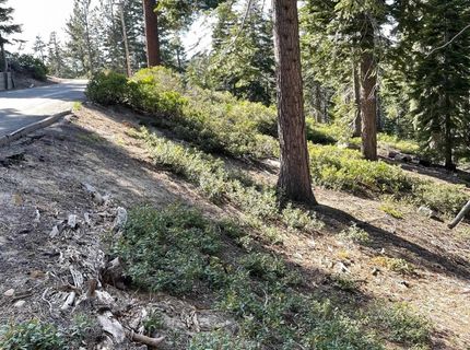 8988 Woodland Drive, Meeks Bay, CA 96142 Photo