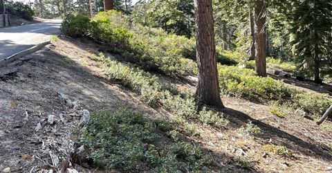 8988 Woodland Drive, Meeks Bay, CA 96142 Photo