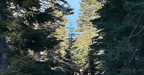 8988 Woodland Drive, Meeks Bay, CA 96142 Photo