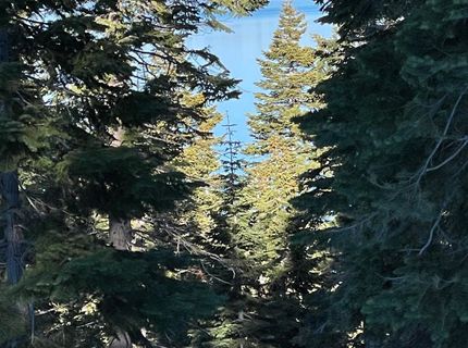 8988 Woodland Drive, Meeks Bay, CA 96142 Photo
